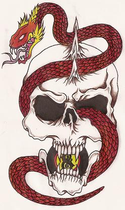 Skull and Snake by soldadoporvida