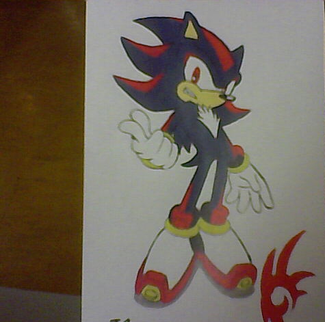 Shadow the hedgehog by sonic89