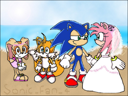 Sonic and Amys Wedding by sonic_fan_4