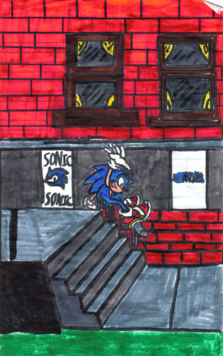 Sonic Rail! (first Sonic pic) by sonicgirl