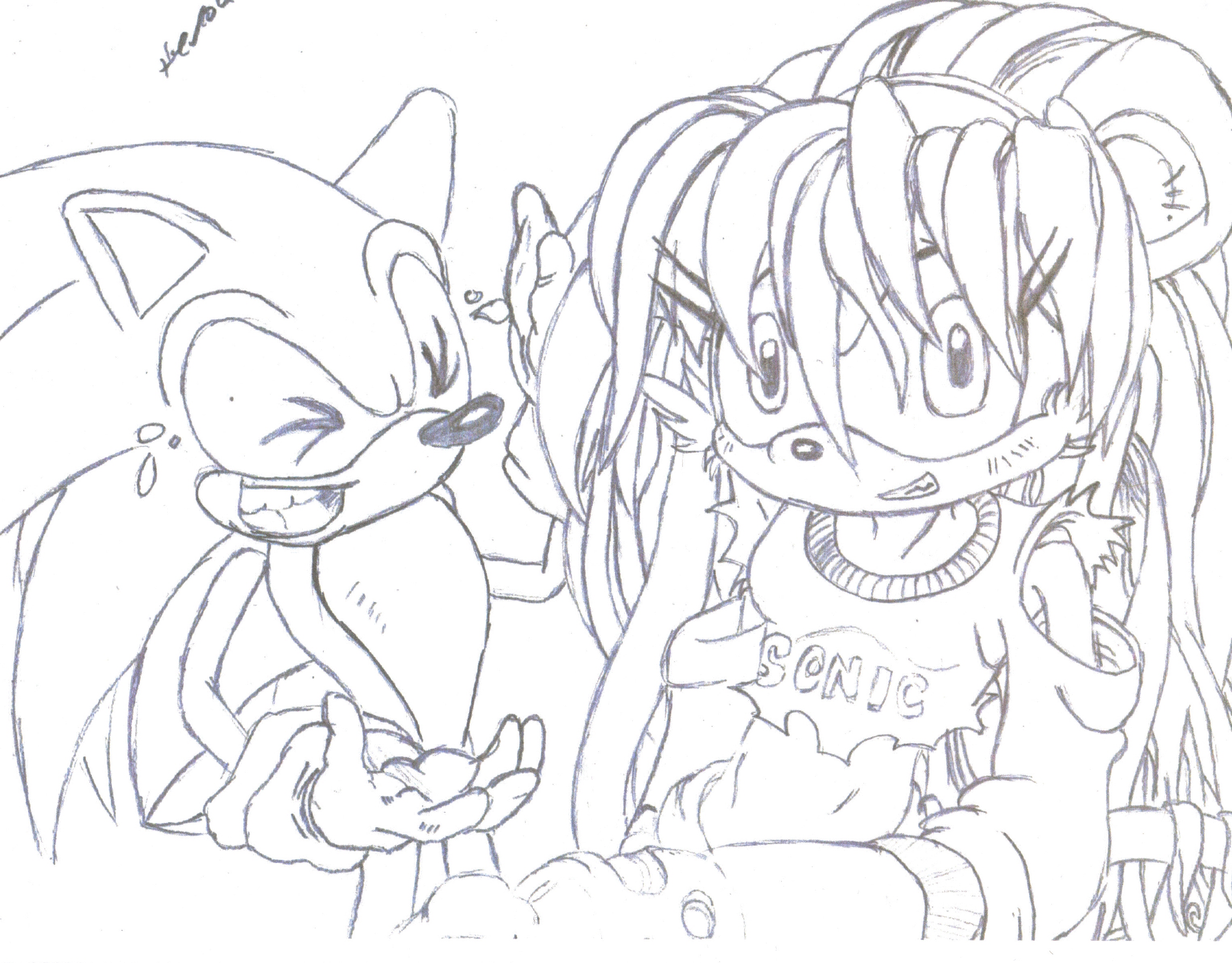sonic and mina*request 4 Sonic_Riders_Freak by sonicknuxfans