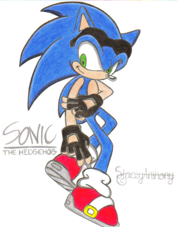 sonic the hedgehog by sonicknuxfans