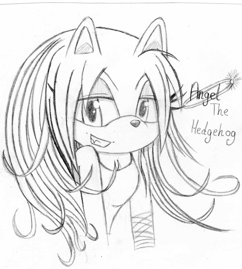 AngelTheHedgehog*B-DAY GIFT* x3 by sonicknuxfans