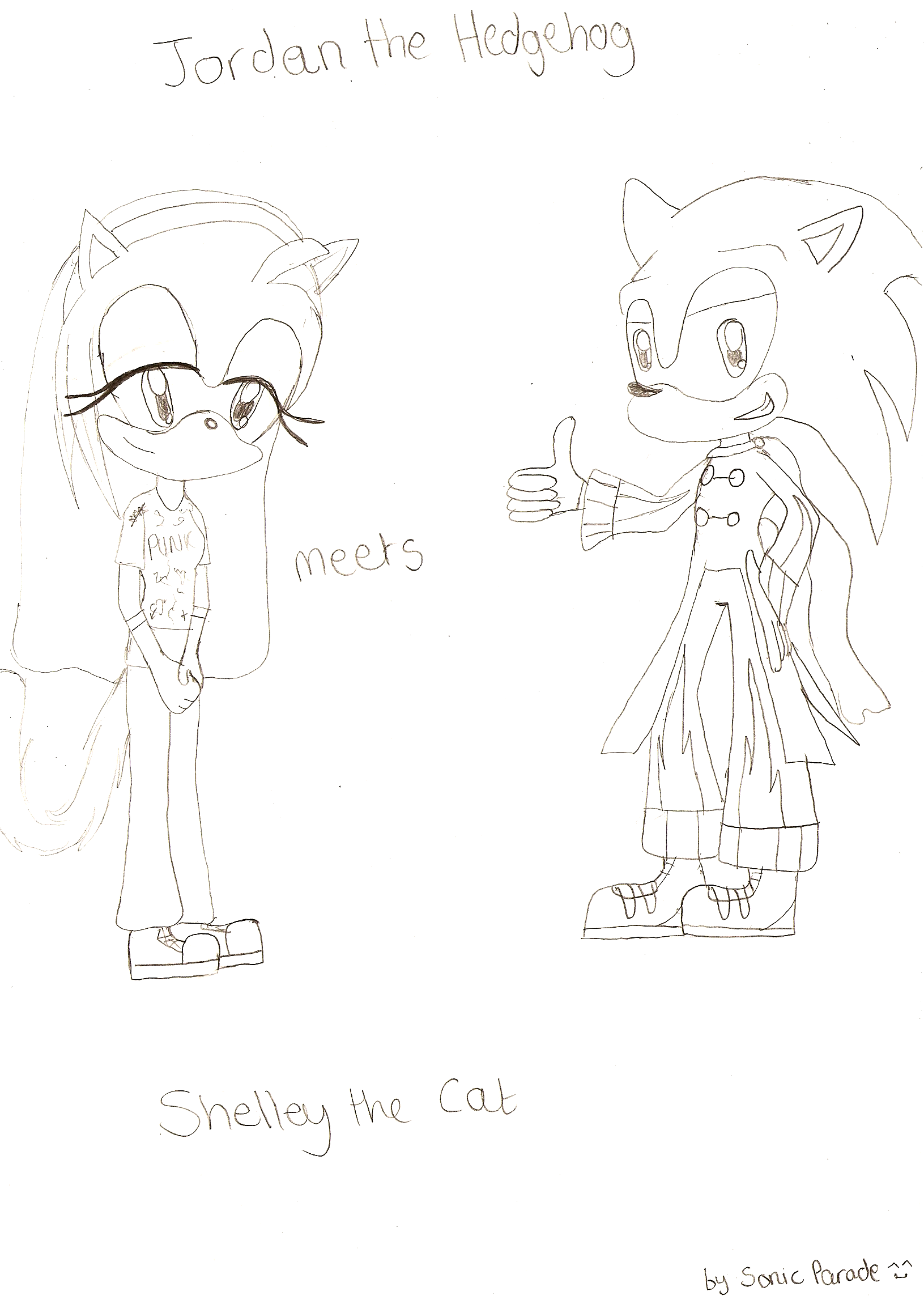 Jordan the Hedgehog meets Shelley the Cat by sonicparade