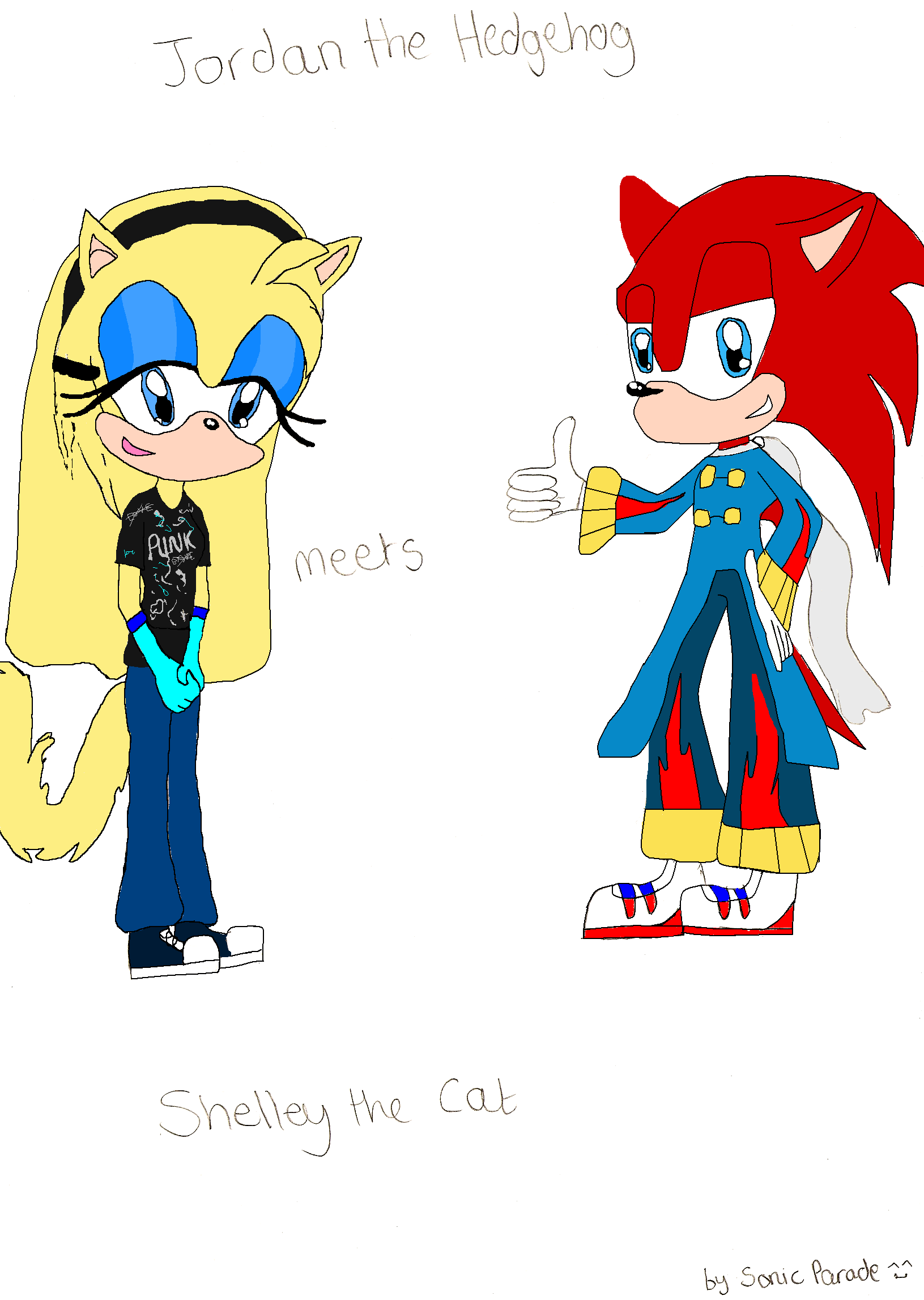 Shelley The Cat Meets Jordan The Hedgehog(coloured) by sonicparade