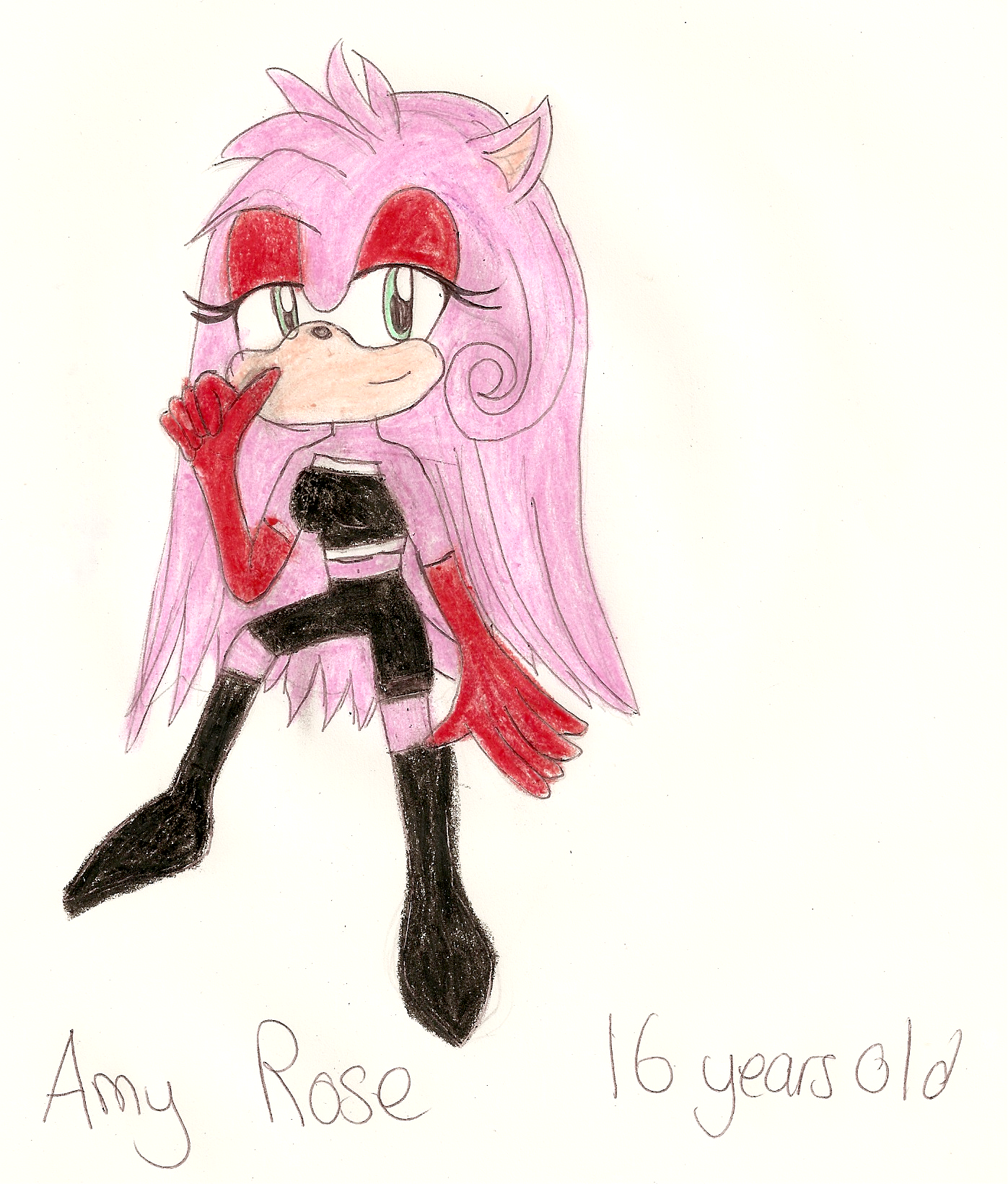 Sonic Quad Amy Older by sonicparade