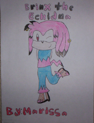 Brinx the Echidna**Request I_Luv_Sonic_7** by sonicpuppylover18