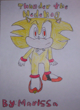 Thunder the Hedgehog by sonicpuppylover18