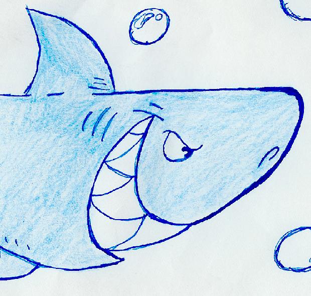 Cartoon Shark by sonicsusie