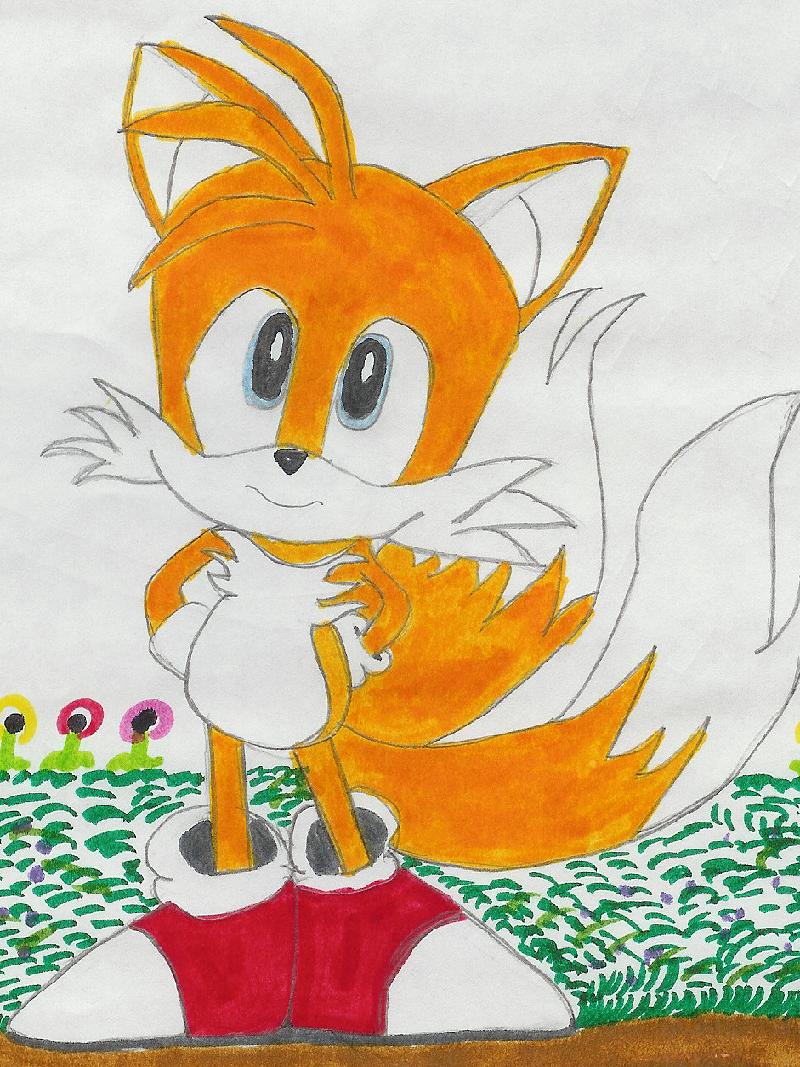 My 1st Tails by sonicsusie