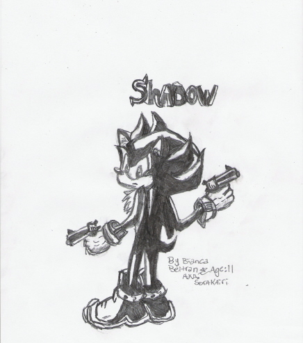 Shadow.... The Gunner?! O.o by sorakairi