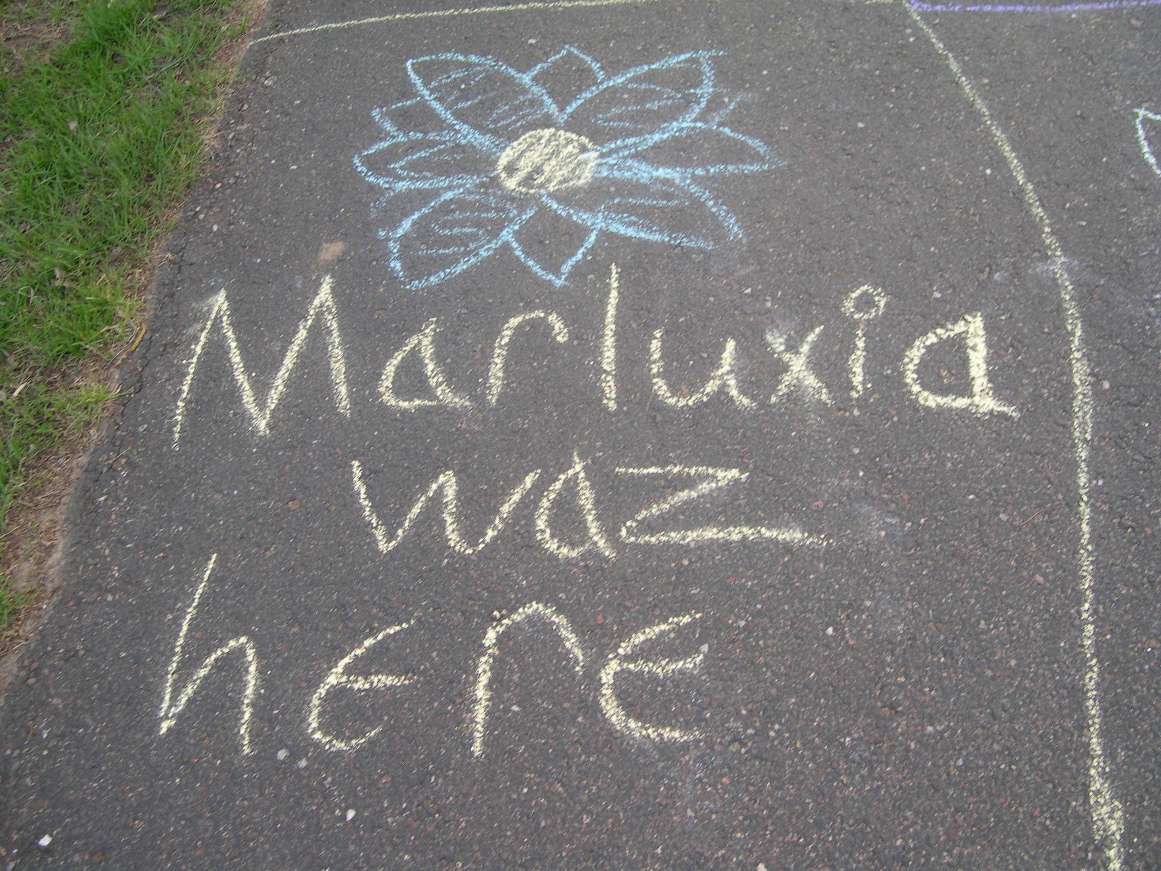 Sidewalk chalk issue one: Marluxia by soraxrikulover
