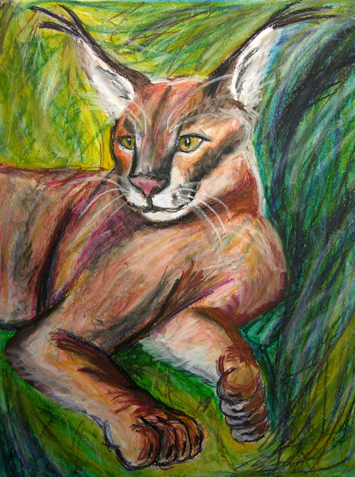 Caracal by spacecoyote81