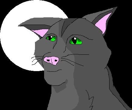 Graystripe in the moonlight by sparktail
