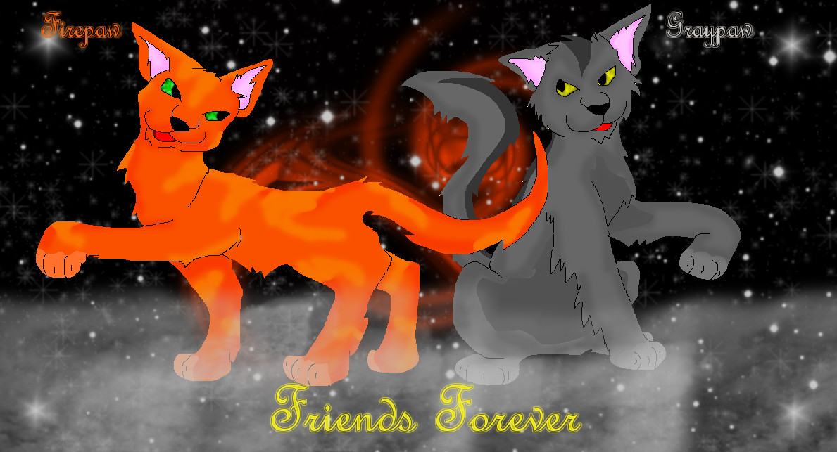 Firepaw and Graypaw by sparktail