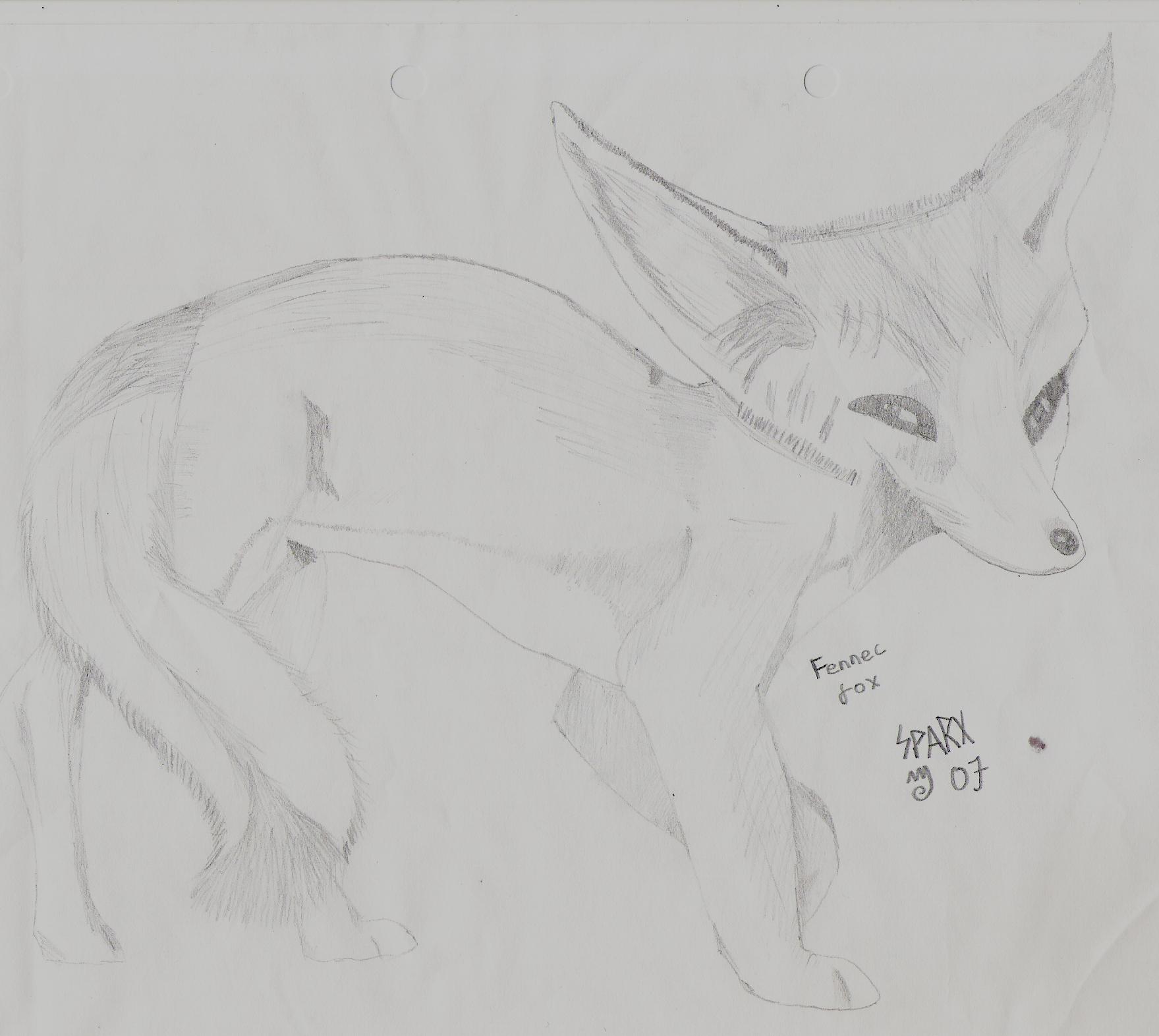 fennec fox by sparx