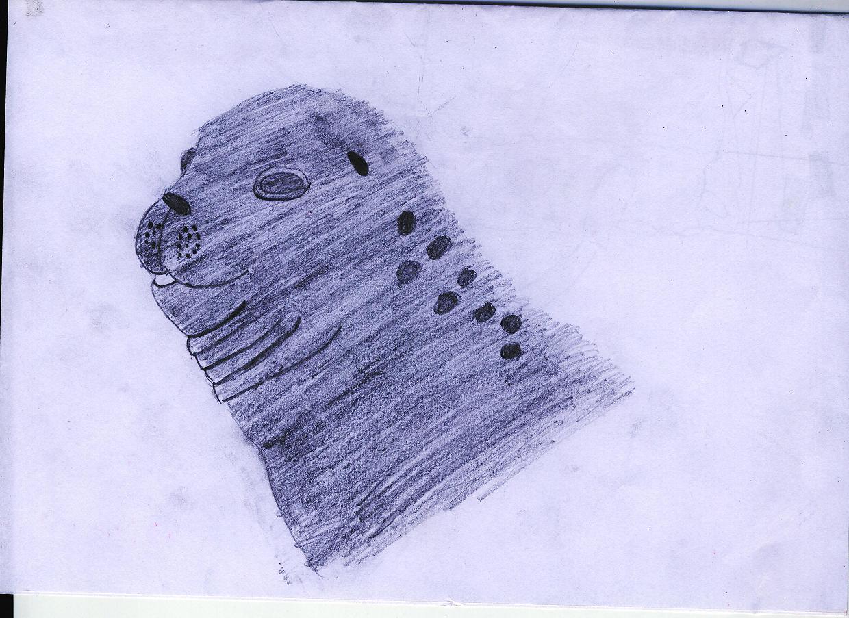 a seal by spongebobfreak199