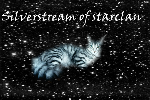 silverstream of starclan by spottedheart449