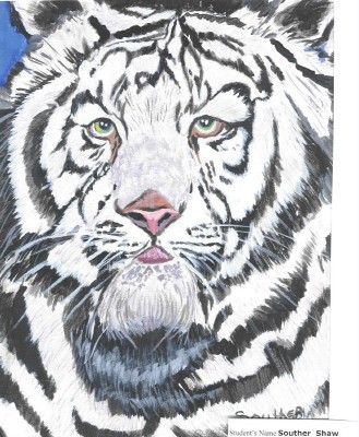 White Tiger-King by star_eyed_wolf