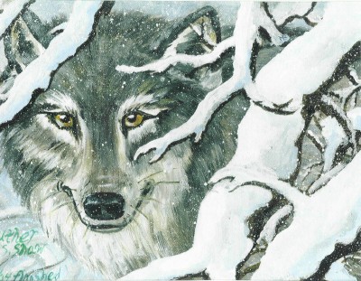 Winter Gardian by star_eyed_wolf