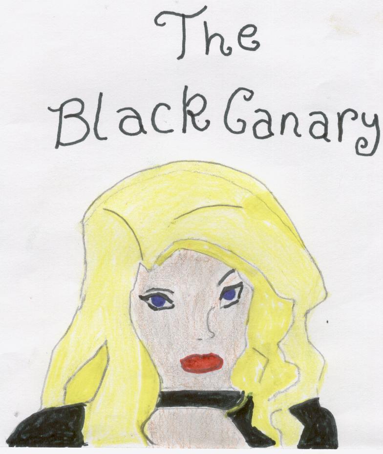 The Black Canary by starfire100