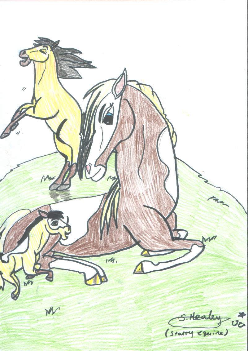 spirit stallion of the cimarron spirit and rains foal