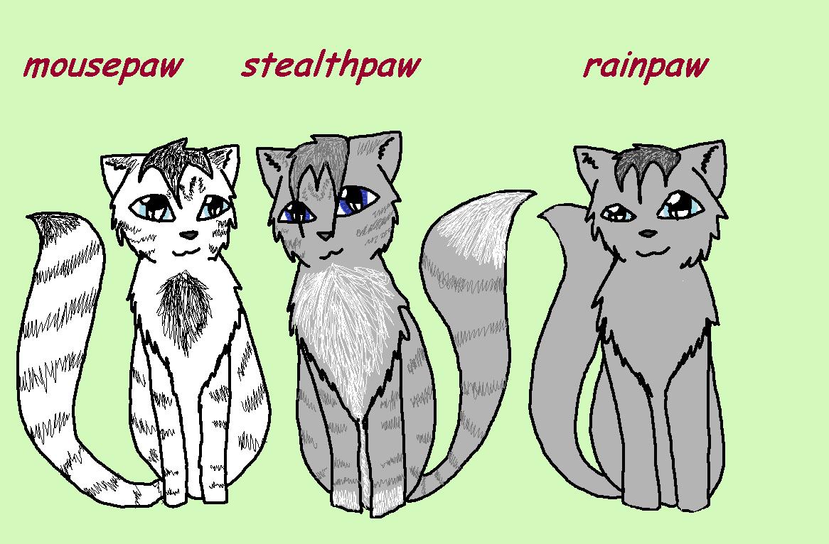 mousepaw, stealthpaw, and rainpaw by stealthpaw
