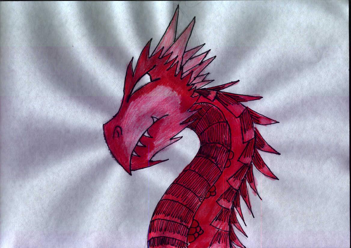 Dragon *RQ* by steph