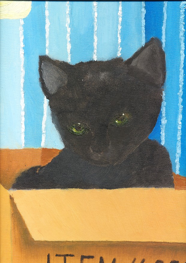 cat in box by stippie