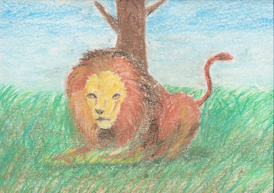 a bord lion by stippie