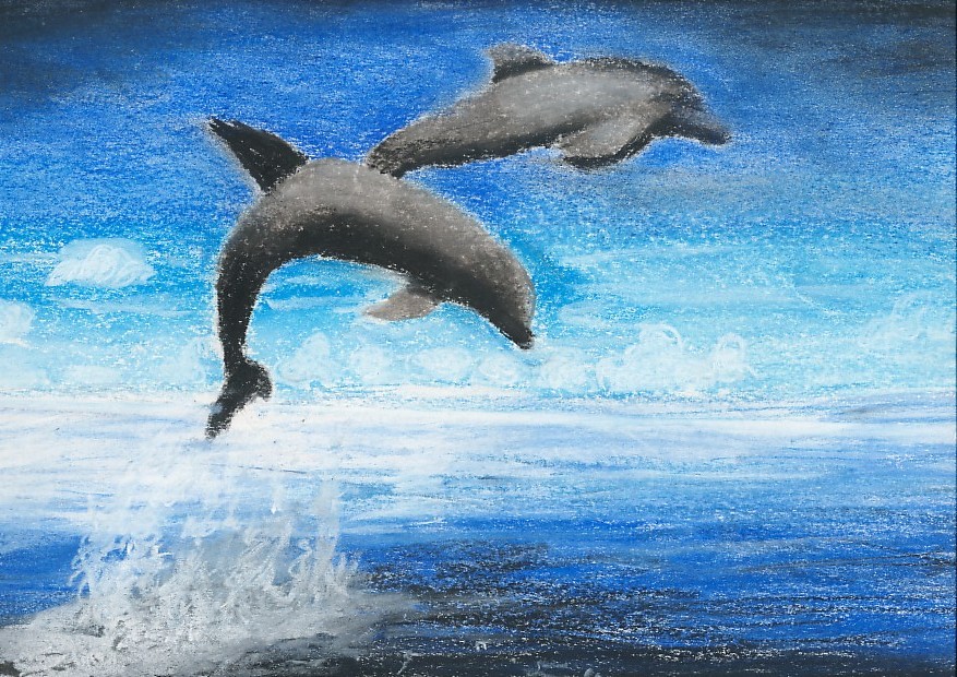 dolphins by stippie