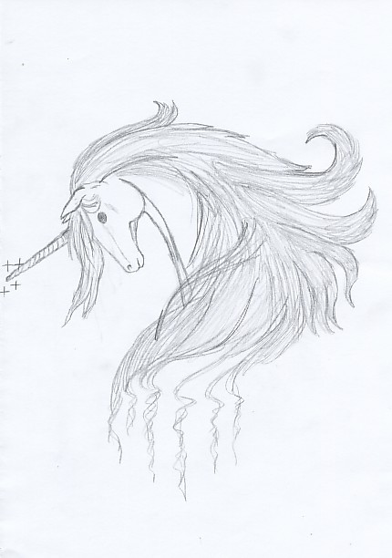 a unicorn by stippie