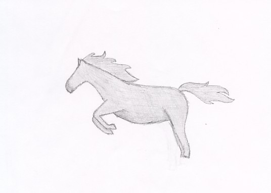 a horse by stippie