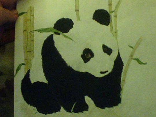 panda panda by subculturalgirl113