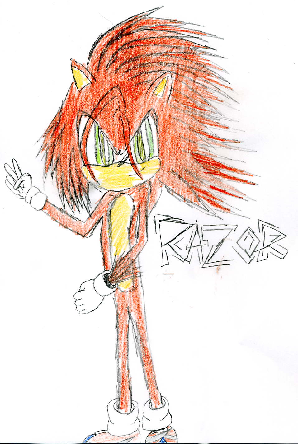Shadow_The_Hedgehog`s request by sunflower_hedgehog