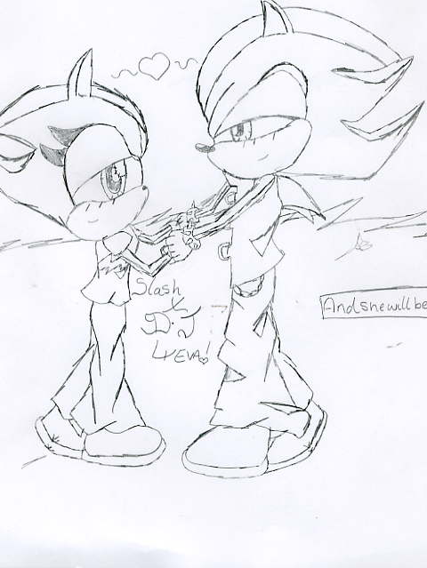 Shadow_Chaos_Panic's Request by sunflower_hedgehog