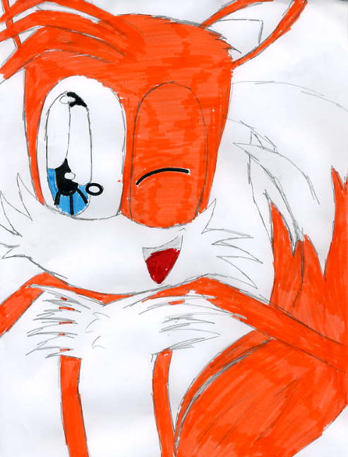 Tails by sunflower_hedgehog