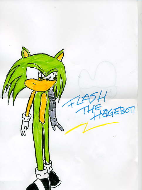 Flash (a pici made in school created by boredom by sunflower_hedgehog
