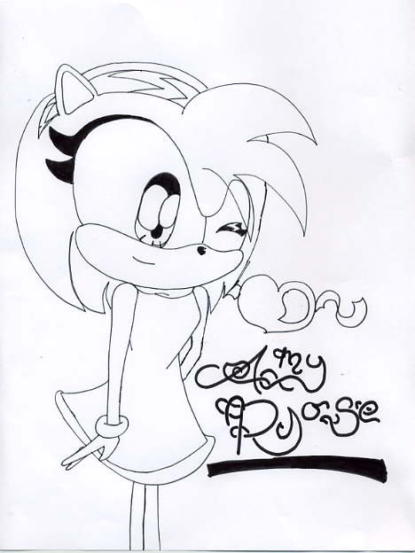 amy (done-you know what XD) by sunflower_hedgehog