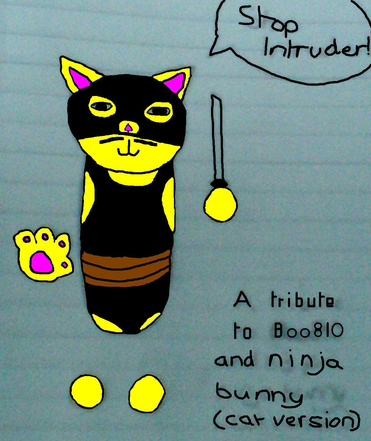 Ninja cat by superstan3