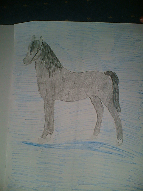Black horse by sweetgirl88