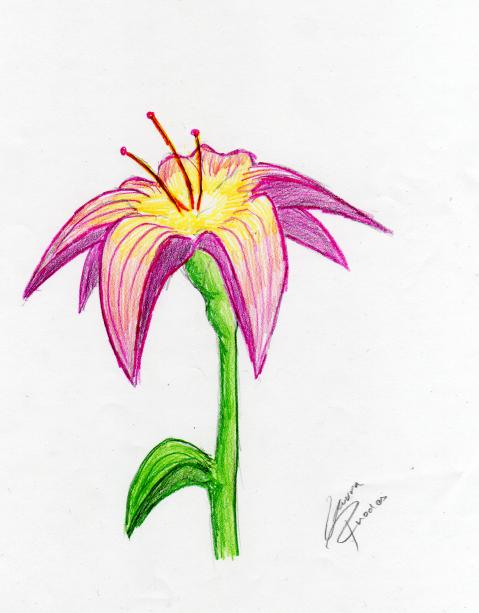 Perdy Flower by sword_dragon