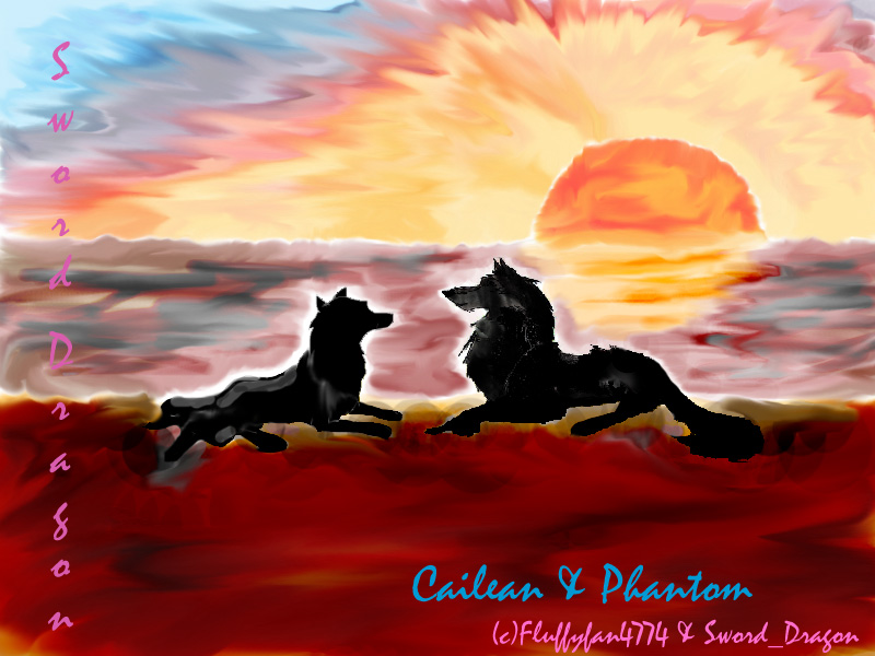 Cailean & Phantom by sword_dragon