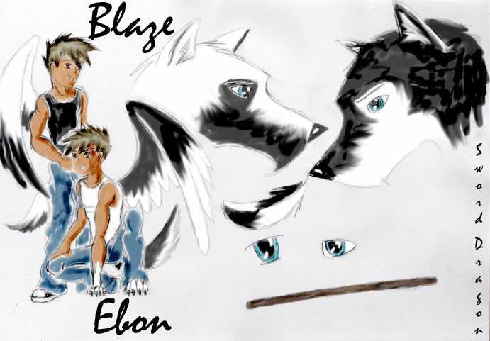 Ebon & Blaze Profile by sword_dragon