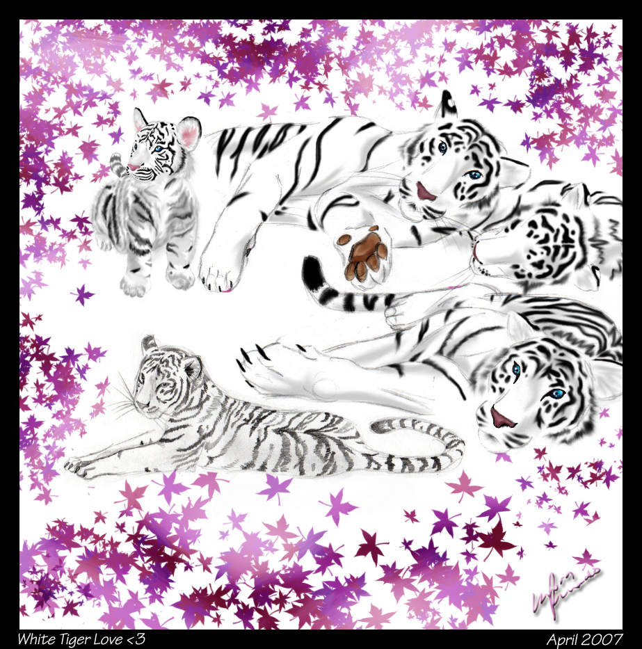White Tiger love by sword_dragon