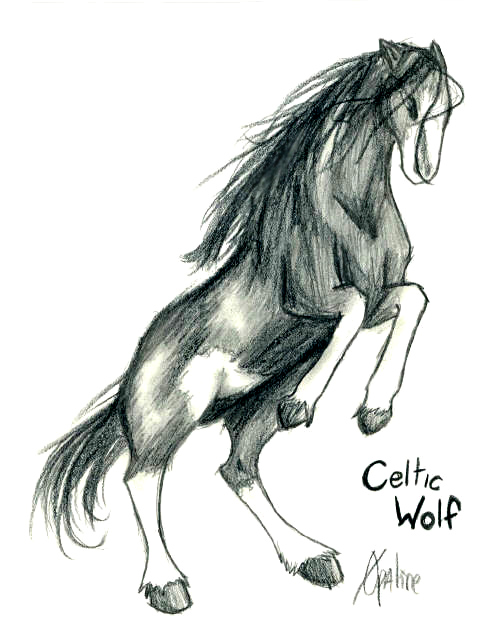 celtic wolf - rear by TEK