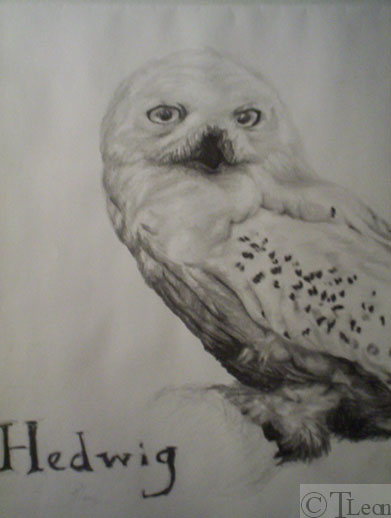 Snowy White Hedwig by TLeon