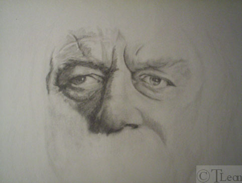 Theoden Eyes by TLeon
