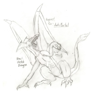Pencil Sketch Dragon(request for AntiMortal) by Tabery