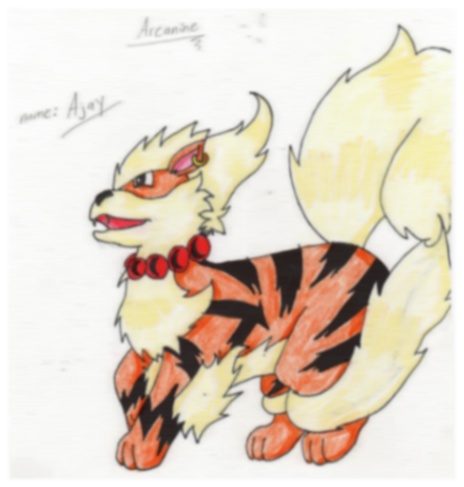 Arcanine by Tabery